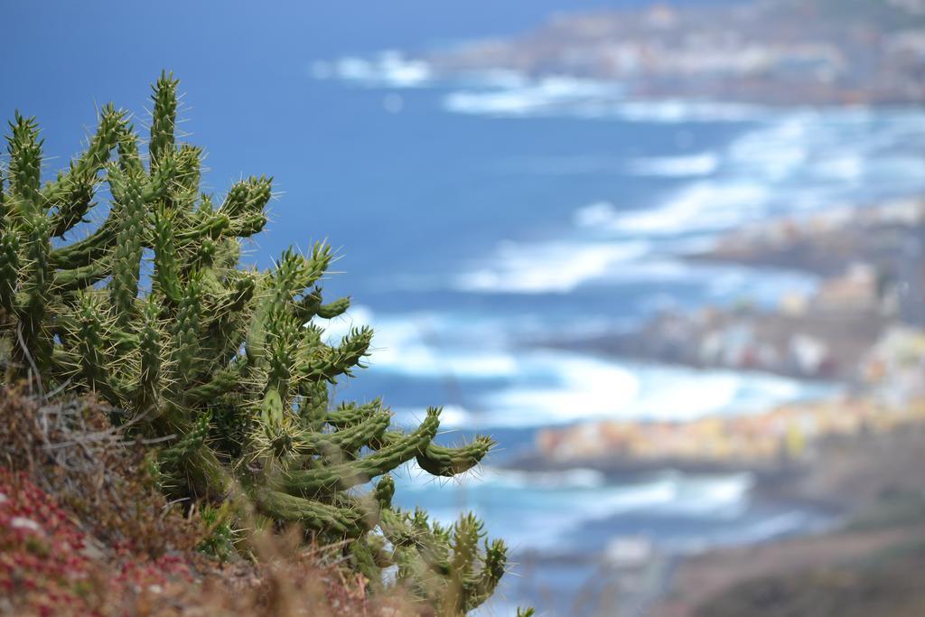 Mirador Del Gallego Santa Maria de Guia de Gran Canaria Værelse billede